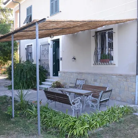 Calicantus 3*